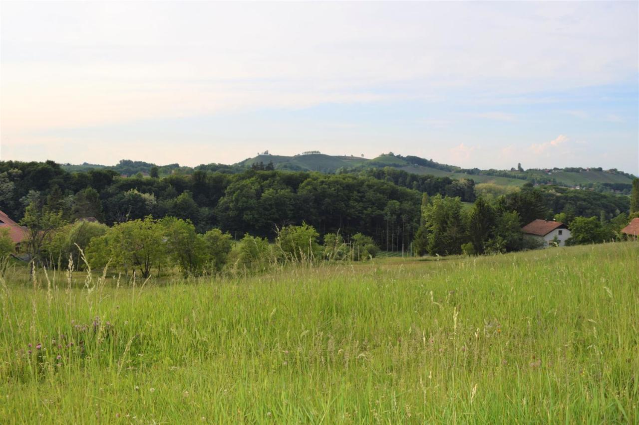 Apartmani Katruza Sveti Martin Na Muri Buitenkant foto